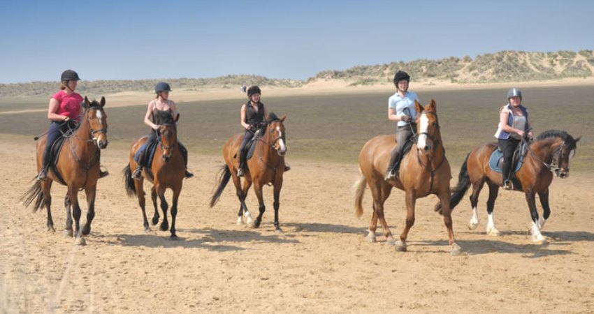 Horse Riding In Norfolk